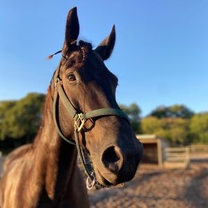 Meet your Posher, Tiffany